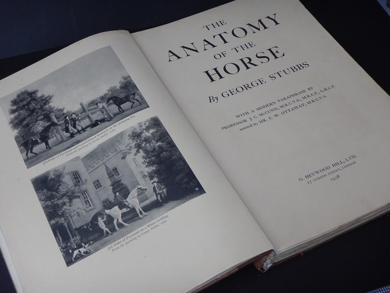 George Stubbs - The Anatomy of a Horse - fourth edition 